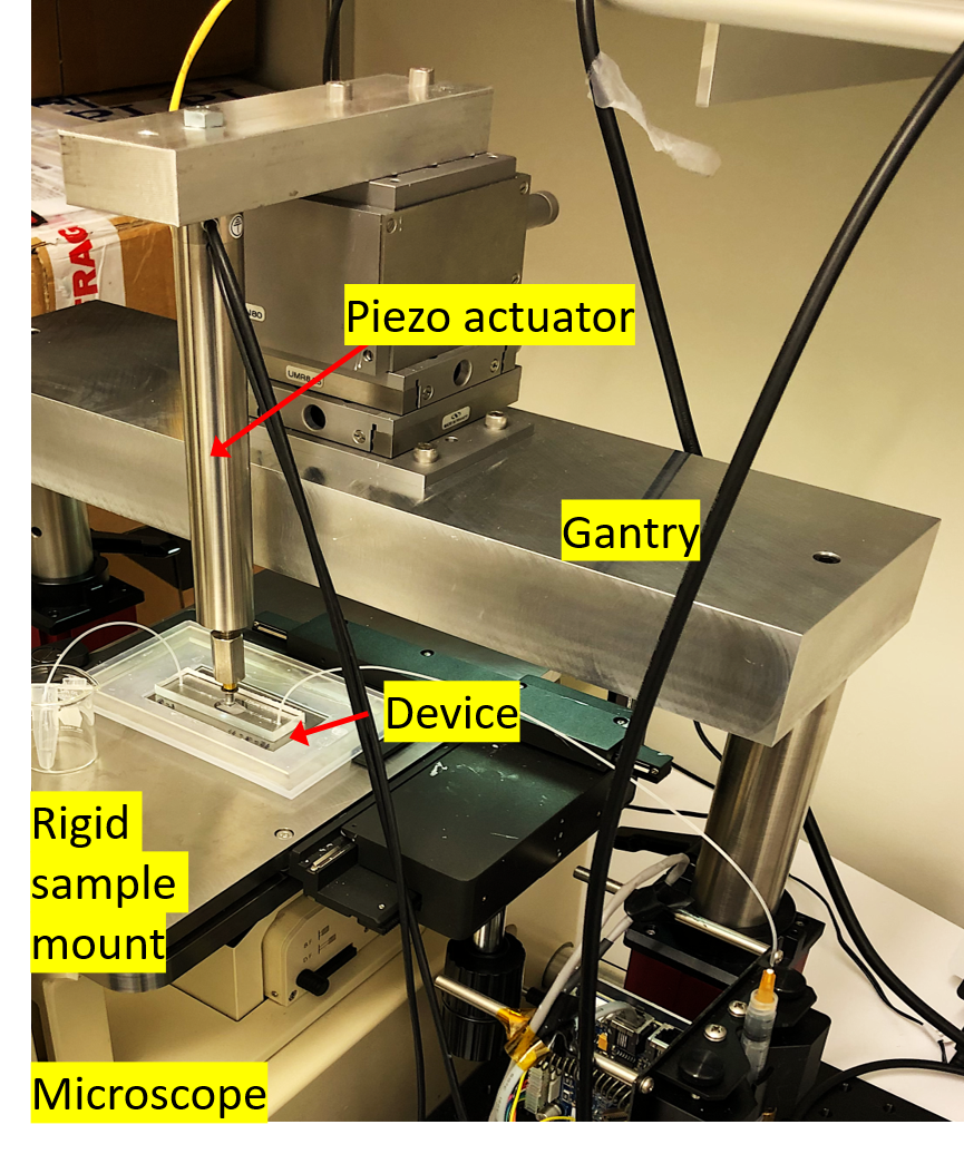 Integrated Silicon Nano-chip/Microfluidics Platform for Microbial ...