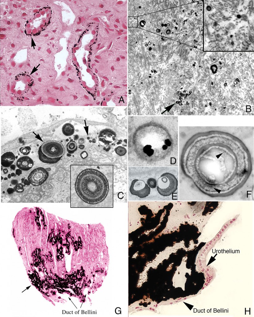 Figure2