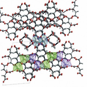 calcium citrate crystal jpeg versioin